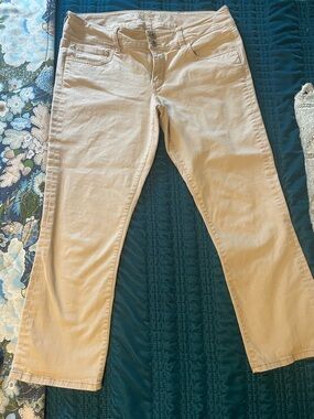 American Eagle Outfitters Light Tan Women's Double-Button Pants